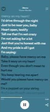 Shawn Mendes - Mercy [sped up + lyrics]