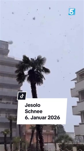 Palmen und Schnee- So sieht es gerade in Jesolo (Italien) aus. ❄️ 🌴 Danke Leser T. für das Video! 🙏🏽 #jesolo #italien #schnee