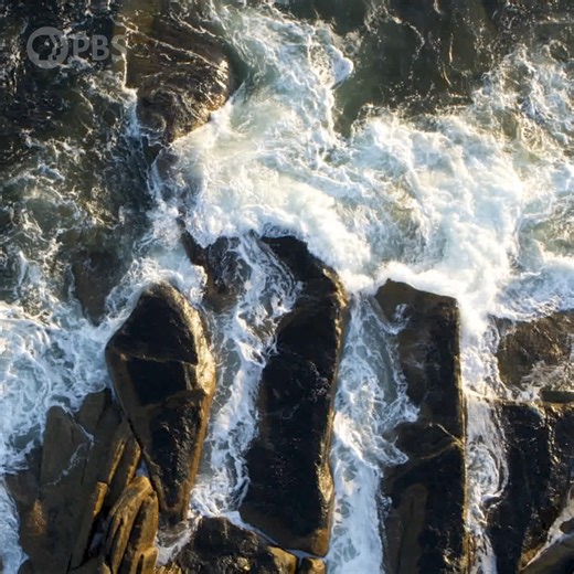 The Columbus-Lowndes Public Library System (CLPLS), in partnership with Mississippi Public Broadcasting, will host a special screening of the new Ken Burns documentary on the American Revolution on November 4, at 6 p.m. The event will take place in the Meeting Room of the downtown Columbus branch. ​ Admission is free and open to the public. Following the screening, a discussion on the American Revolution will feature history professors Dr. Judith Ridner, Mississippi State University, and Dr. Jon