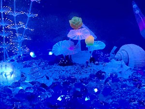 NeoPixel Aquarium with Submersible Lights