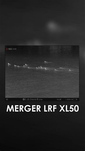 Merger LRF XL50: Ideal for Birdwatching and Hunting. #pulsarvision
