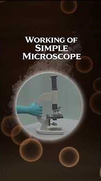 Working Of Simple Microscope