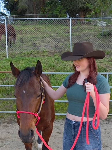 Ajazz AK 35 I: The Ultimate Desk Keyboard Experience