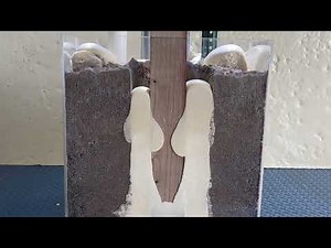 Worm's Eye View of Postloc Post Setting Foam in Action