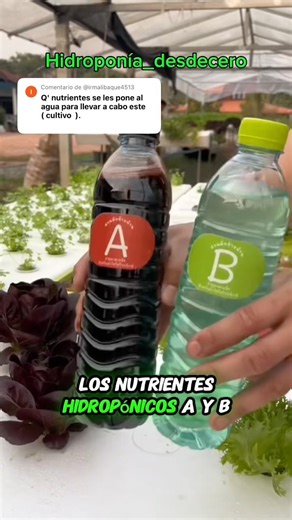 👨‍🌾AQUÍ te enseño sobre la Solución A y B en Hidroponía 🌱✅ Suscríbete para aprender #hidroponía