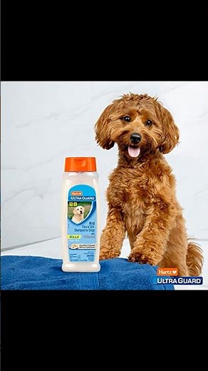 Hartz UltraGuard Rid Flea & Tick Oatmeal Dog Shampoo - Quick Use Guide