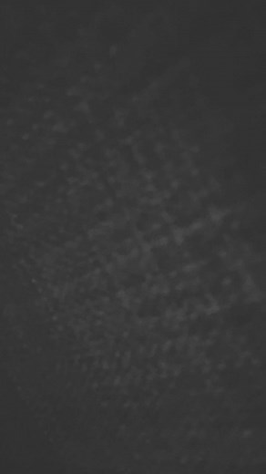 Tommy Lee (@tommylee)’s video of tommy revenge for joel