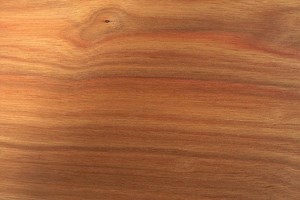 Guide to Canarywood - Woodworking Trade
