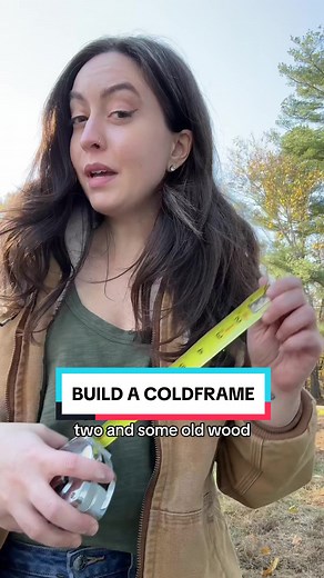 You can make this DIY cold frame and grow your own cold hardy vegetable garden all throughout winter 🥶 But you need to plant cold loving crops like: 🌱Mizuna 💚Endive 🥬Gai Choy 🥕Carrots 🍃Kale Would you build your own cold frame for winter gardening? #coldframe #coldframegarden #coldframegardening #coldframes #diycoldframe