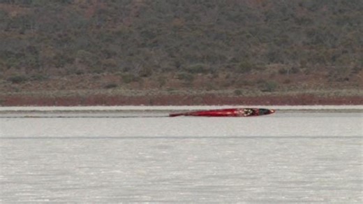 Woman crashes attempting world's fastest motorcycle record