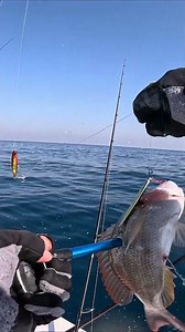 ULTRA LIGHT SLOW JIGGING CATCH 8