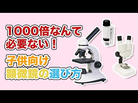 子供向け顕微鏡の選び方