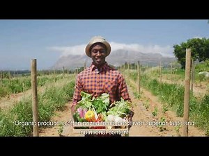 Organic vs Conventional Farming
