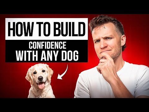 Why is my dog afraid of everything? 5 Reasons dogs become fearful- Dog Training Video
