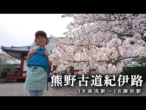 [Kumano Kodo Kii Route ③] Walking the pilgrimage route with cherry blossoms in full bloom in Kumano