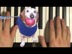 How To Play - Apple Dog Ai Meme Song (Piano Tutorial Lesson)