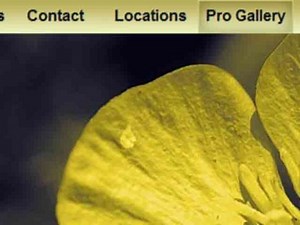 [HD] Dreamweaver CS4: CSS Pixy Style Rollovers