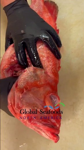 Butterfly-Cut Rockfish for BBQ | Easy Grilled Rockfish Recipe & Marinade