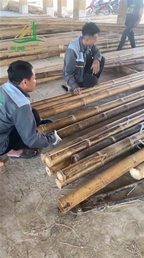 Làm 2 căn nhà tre mái lá cùng lúc có thật sự sướng như nhiều người nghĩ? Tre Trúc Ngọc Dương