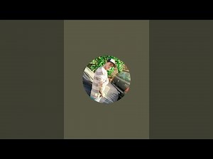 Mr Red8 Vlog is live!