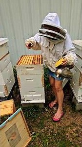 Homestead Beekeeping: How to install a feeder board!
