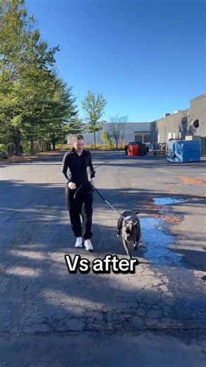 Work with a Stretch Coach and improve strength, balance, and mobility to have the ability to do the things you love without pain or difficulty!  #stretch #coach #wellness | Flexable Assisted Stretching | Facebook