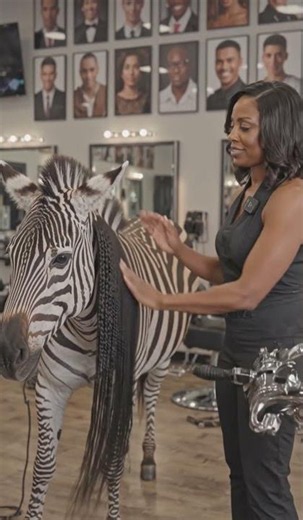 Zebra Styling With Automatic Braiding Machine