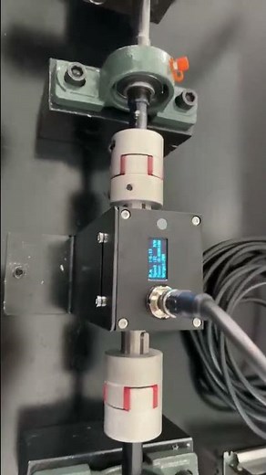 dynamic torque sensor