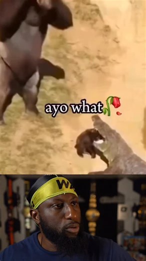 Chiseled Adonis on Instagram: "Whoa"