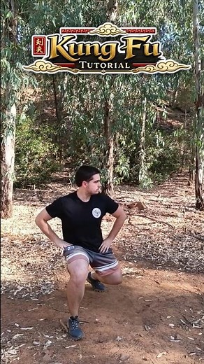 KNEE STANCE TUTORIAL - KUNG FU