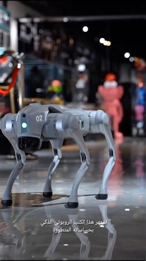 روبوتات صينية أدهشت العالم! 🤖🇨🇳