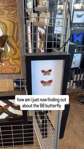 Today (for my birthday!) I’m dropping a surprise limited merch item 🦋 “Jason’s 88” pins are available now 🎹 | Jason Leech