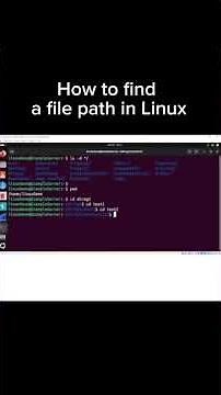 How to find a file path in Linux #linuxcommandlinetutorial