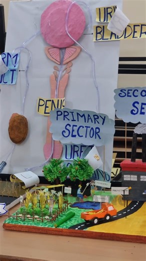 science practical | #science #practical #shorts #viral #new #trending #cerebraino