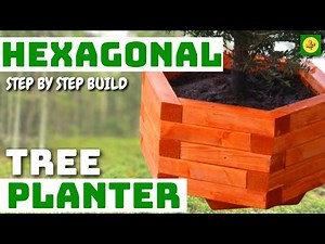 Hexagon Tree Planter - 6 Sides - How to Build using Basic Tools