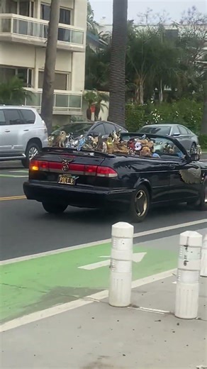 Freaky novelty car sighting makes city puke