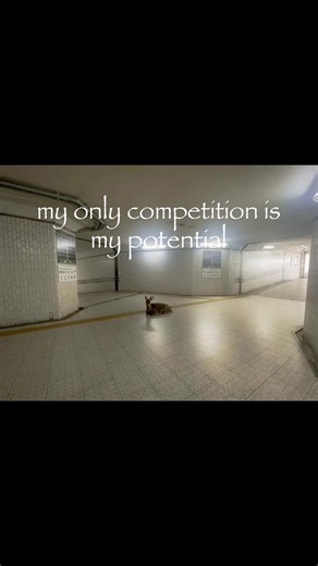 #fyp #personalcompetition #zyxcba #potential | ipsc competition