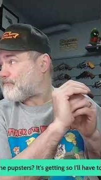 Factory‑seconds ammo: are they safe?