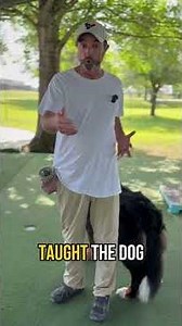 "Stop Reinforcing Dog Barking and Control Your Dog's Behavior "