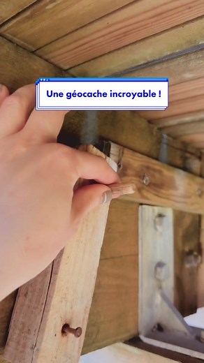 Vous connaissez le Géocaching ? 🤩 #geocaching #geocachingfrance #geocacheadventures #activitesoutdoor