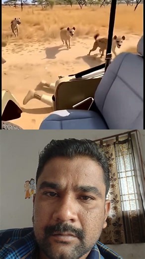 Never Joke With an African Lion Nature Doesn't Play lion attack human #short #lion #human