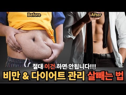 가장 똑똑하게 비만관리와 다이어트해서 살 빼는 방법 | 원푸드·저탄고지·간헐적 단식·공복 유산소 진실, 기초대사량 계산·근손실 방지 루틴·탄수화물 현실 가이드