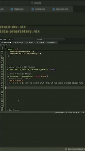 S3 Android Studio Setup #nixos
