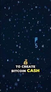 The Great Bitcoin Split Explained