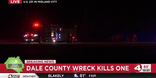 Dale County wreck kills one