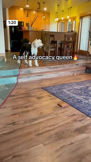 We love an empowered Bunny👏🏼 #iambunny