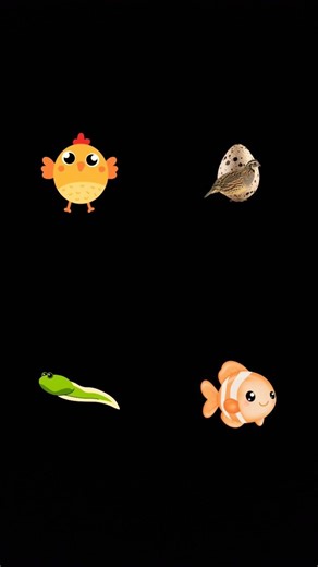 8 กุมภาพันธ์ ค.ศ. 2026