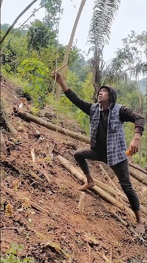 trapping squirrels🐿️#bushcraft #outdoors #trap #survival