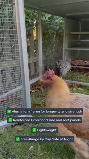 Free-range by day, kept safe and sound at night 🌙 Our mobile chicken tractor has your flock covered. Designed for both safety and mobility, it's a win-win for chickens and owners alike! 🐔 Share to help more chickens find freedom and security 🐓 #hobbyfarm #freerange #chickens | Farm & Yard Products