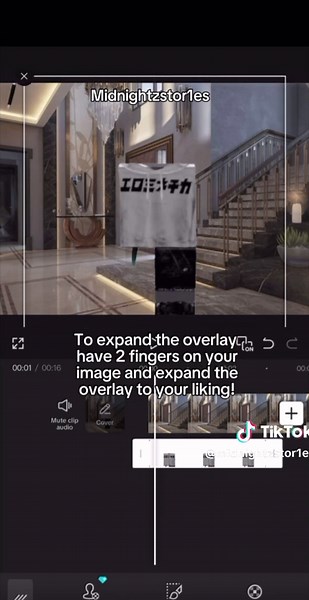 Comprehensive Animation Tutorial for Beginners